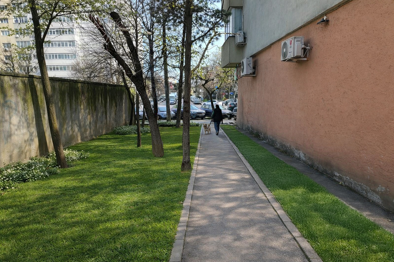 Propunere continuitate alee