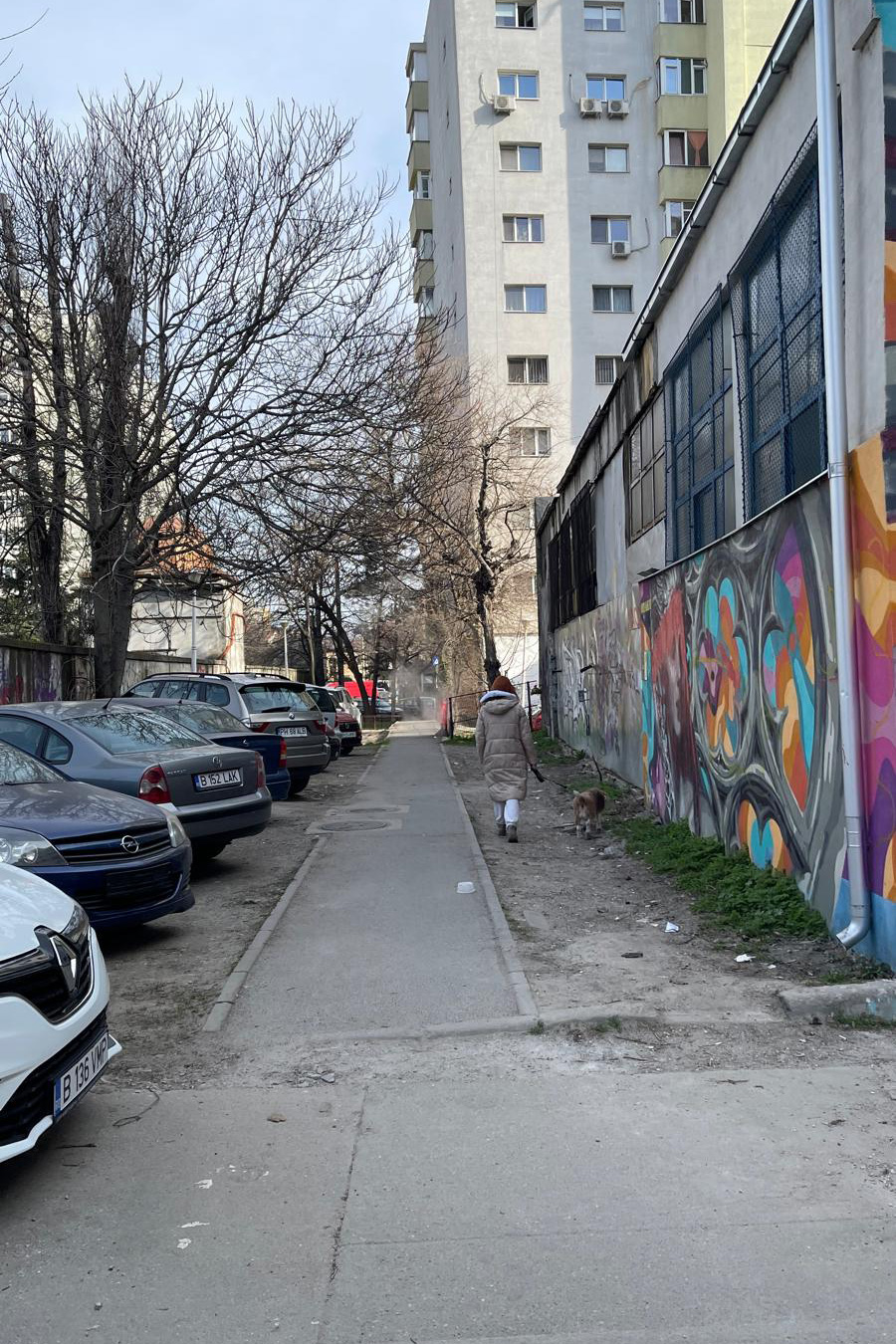 Situația actuală a aleii  din spatele punctului termic 19