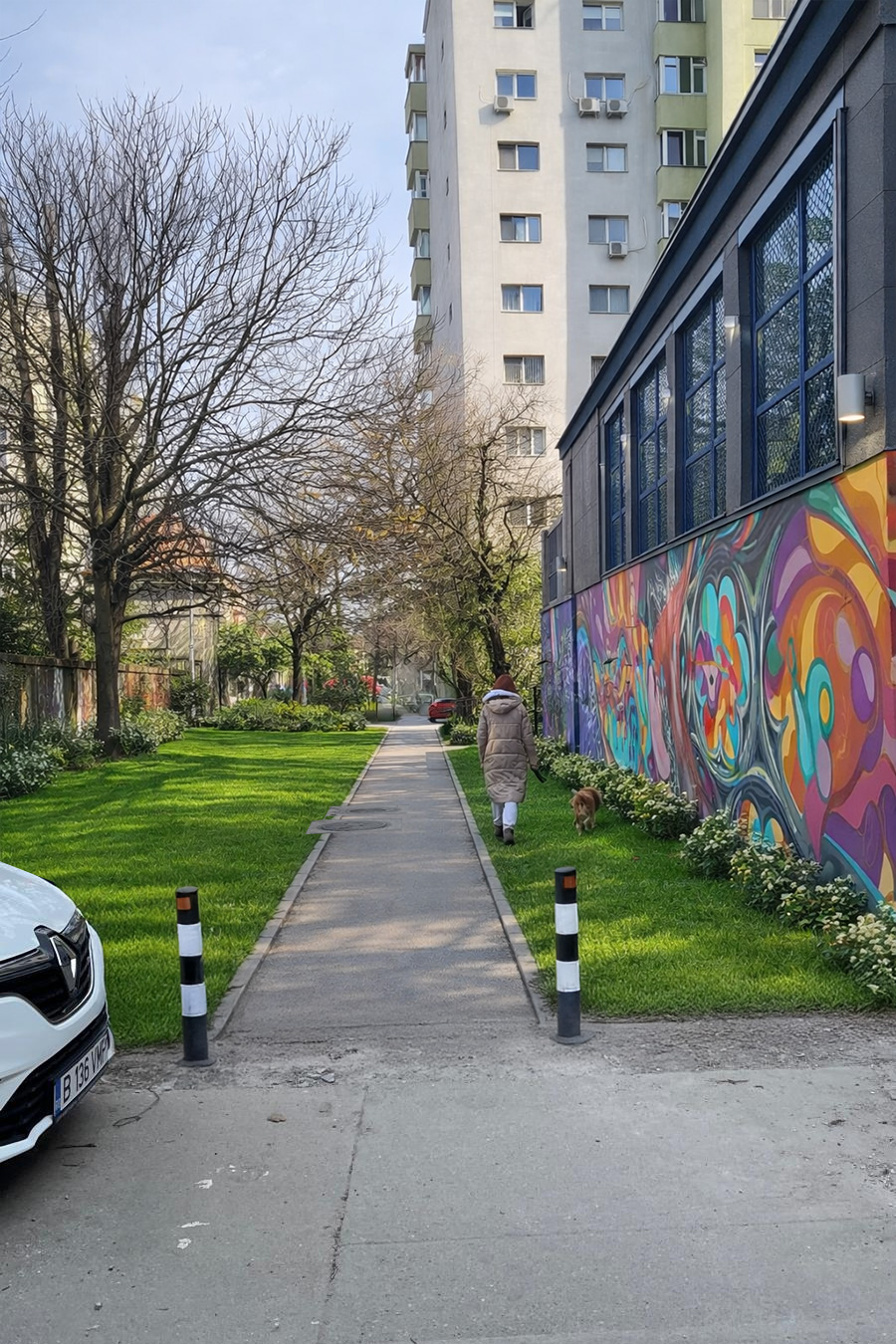 Propunere continuare alee