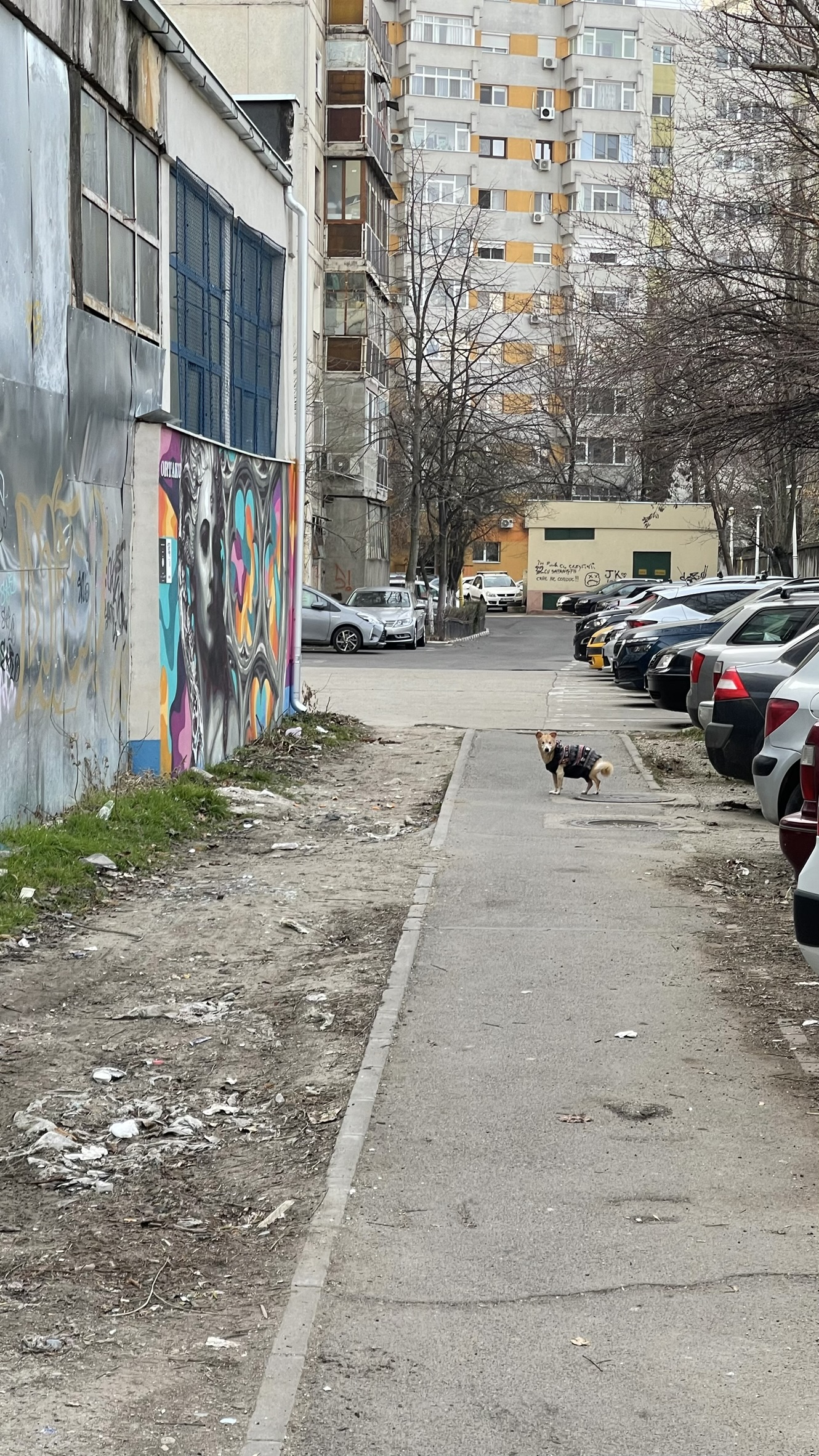 Situație existentă zona 1