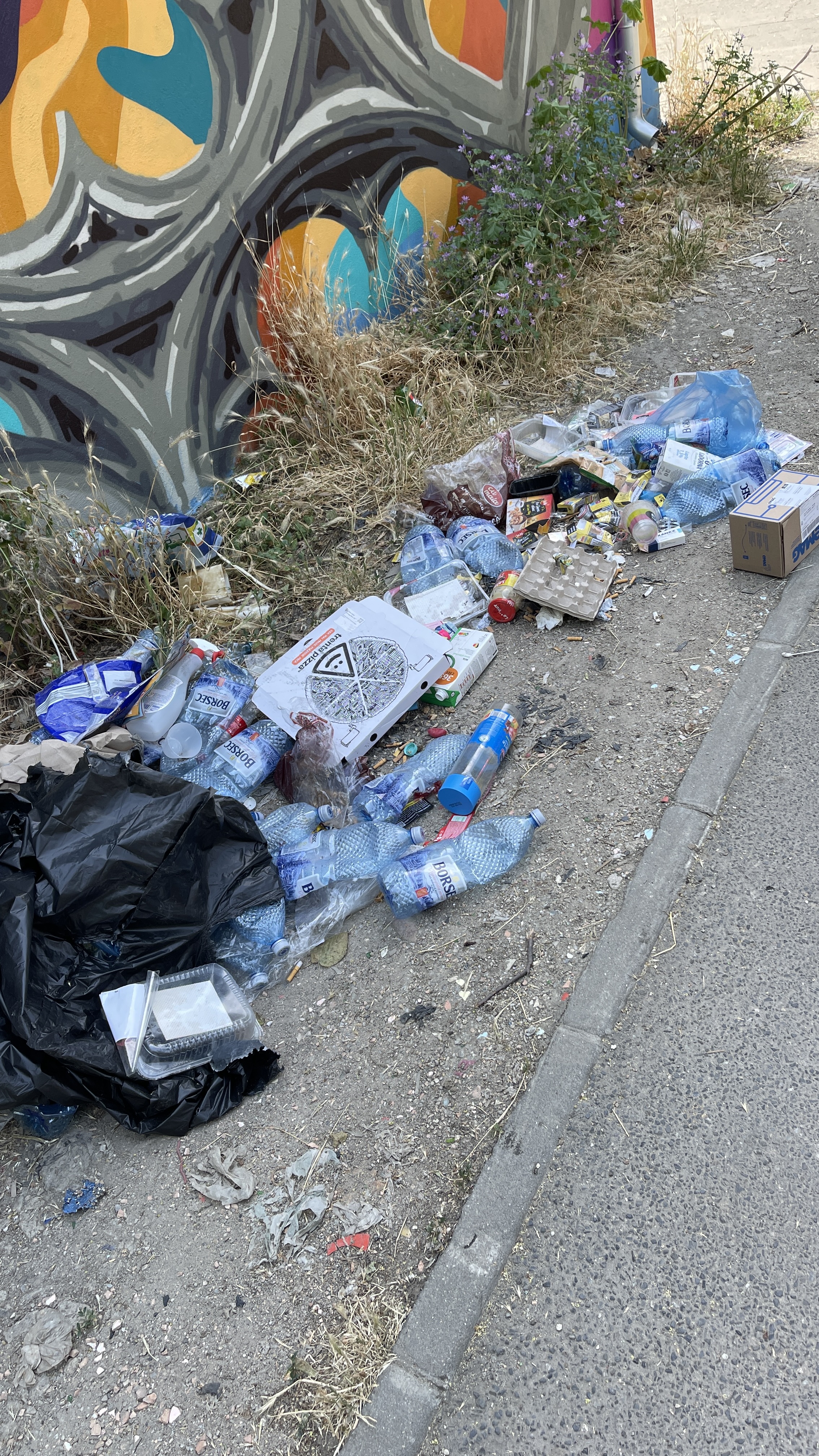 Situație existentă zona 1